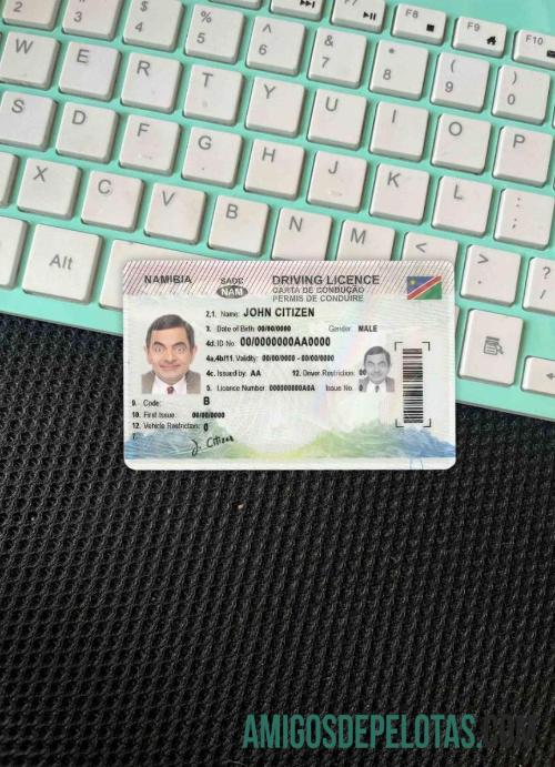 Namíbia DL fotovisual frontal baixar para verificação